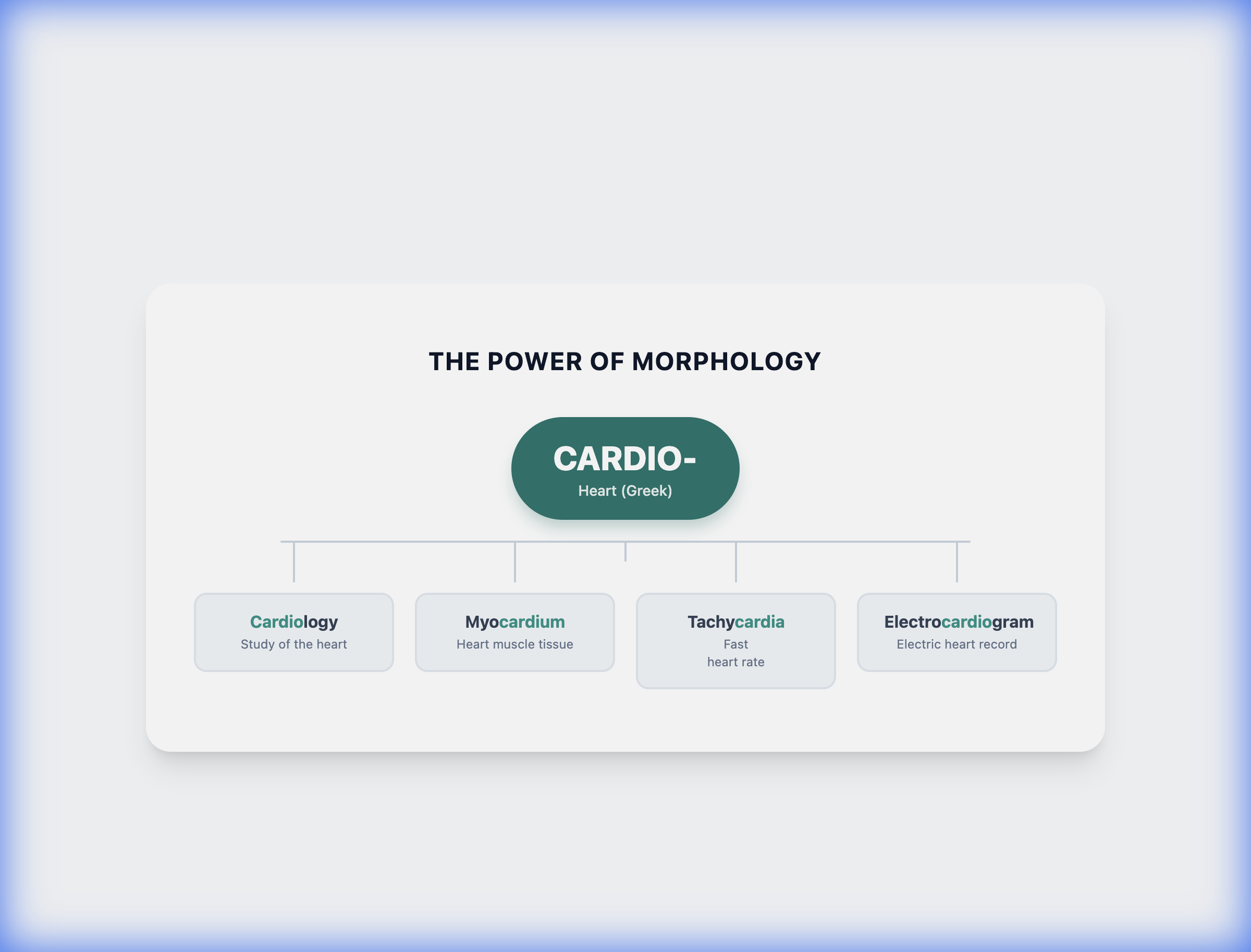 Etymology Tree: Common Roots